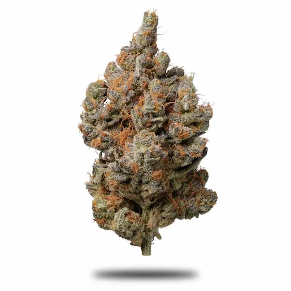 Colorado Chem